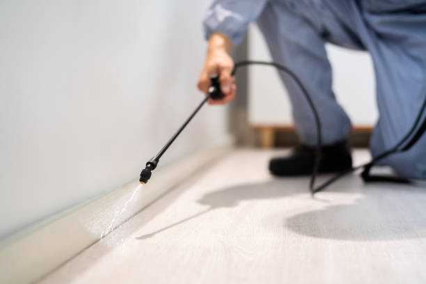 Licensed Pest Control service in Fannett, TX - Show Me Pest Control
