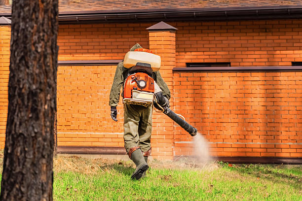 Bed Bug Clearance Verification and Documentation in Fannett